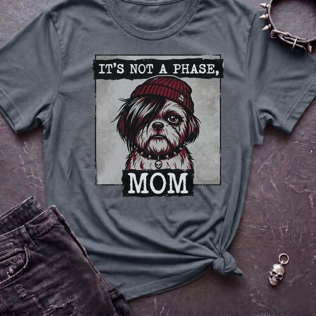 It's Not A Phase Tshirt