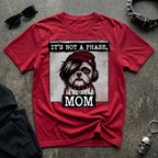 It's Not A Phase Tshirt
