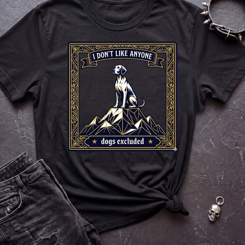 I Don't Like Anyone 4 Tshirt