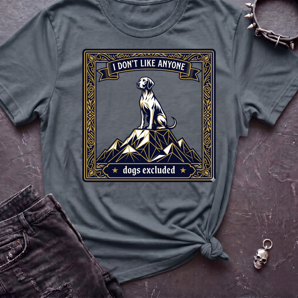 I Don't Like Anyone 4 Tshirt