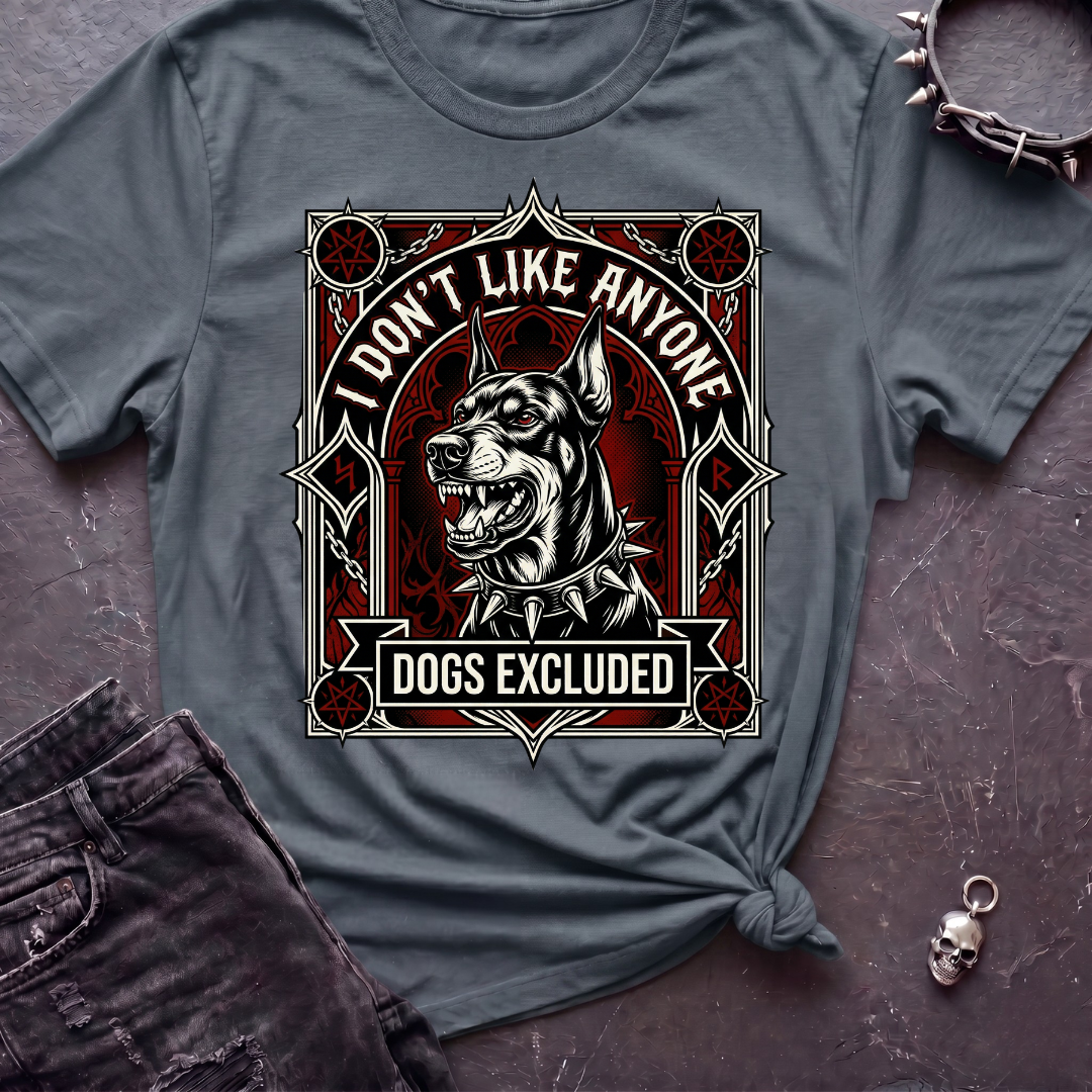 I Don't Like Anyone 2 Tshirt