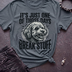 Break Stuff Tshirt