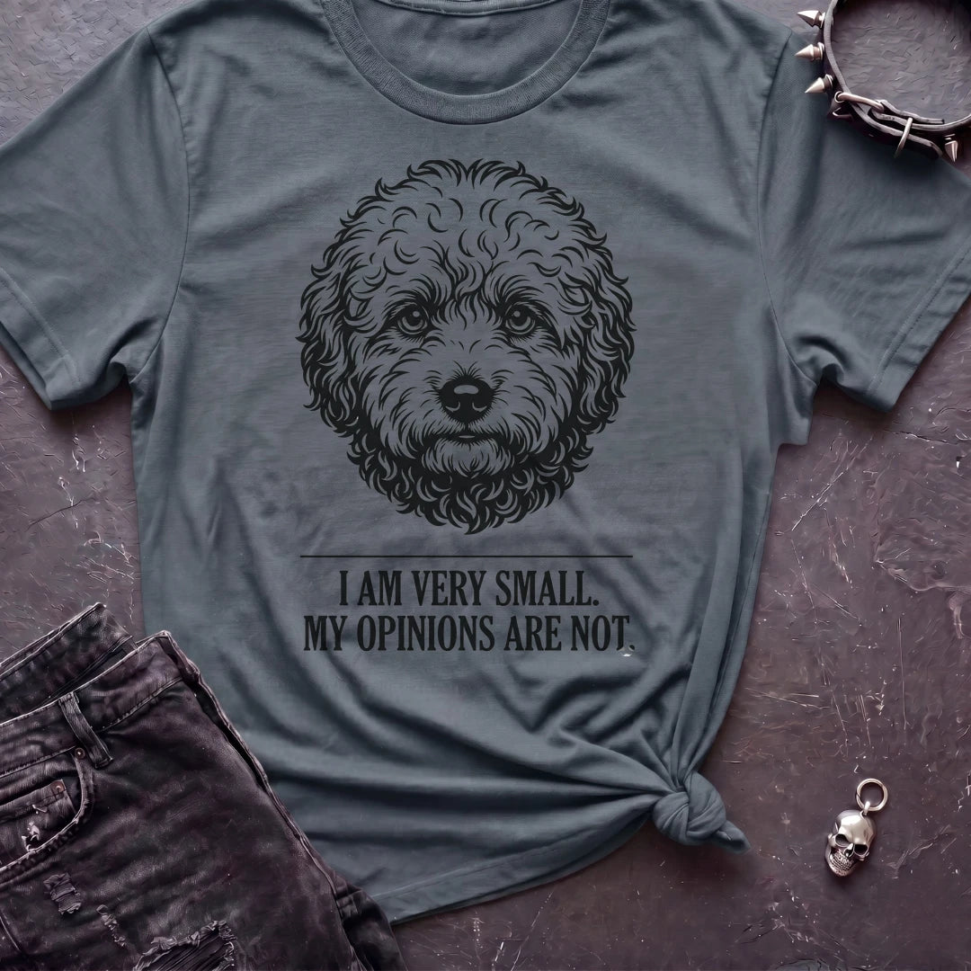 I May Be Small Tshirt