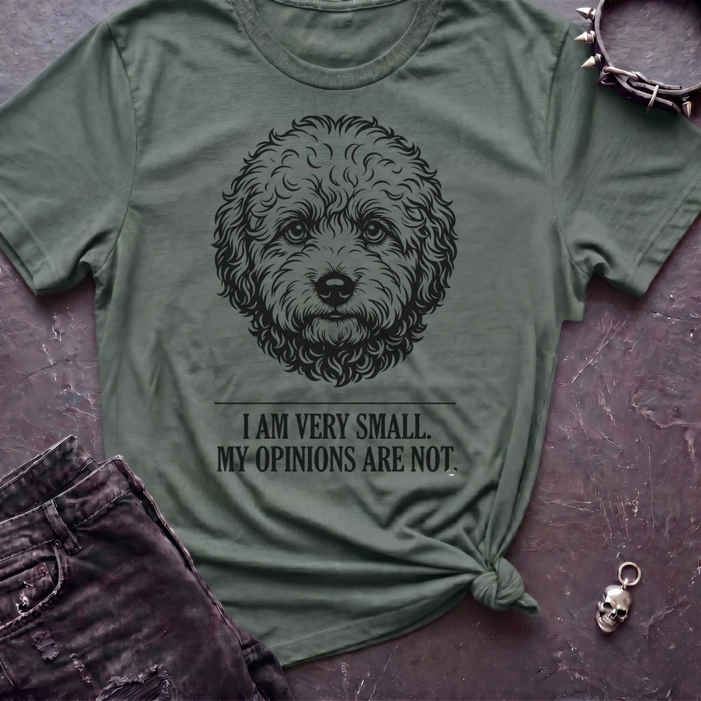 I May Be Small Tshirt