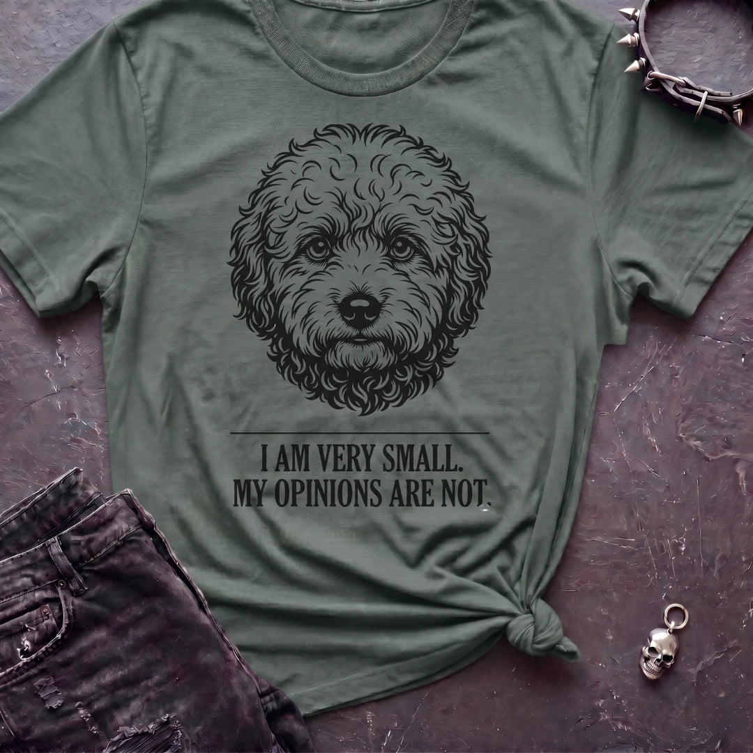 I May Be Small Tshirt