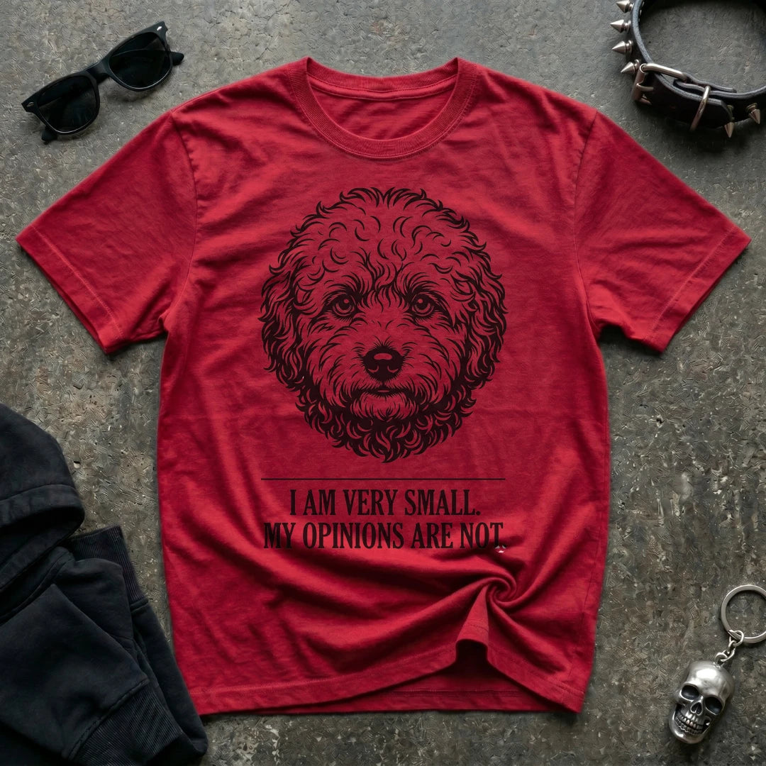 I May Be Small Tshirt