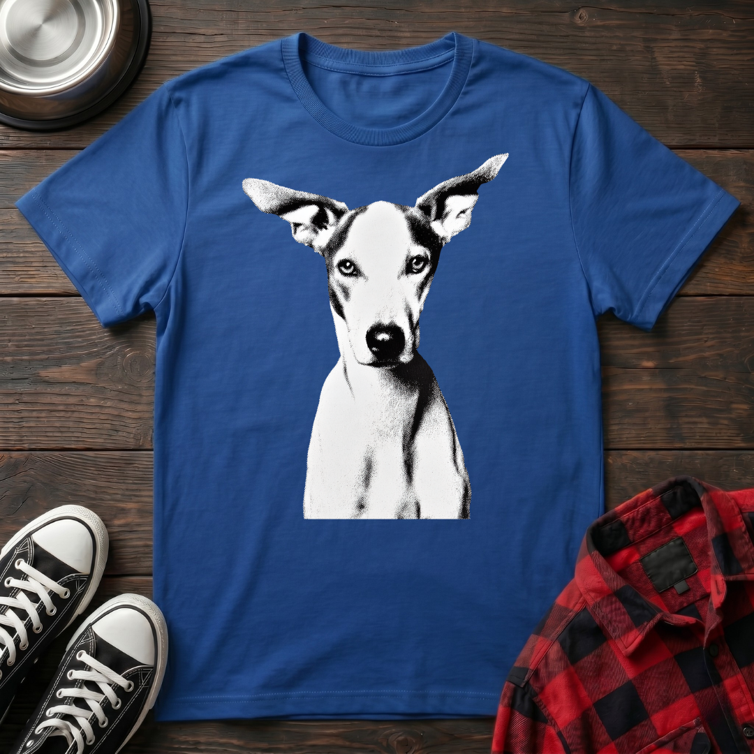 Quiet Menace Tshirt