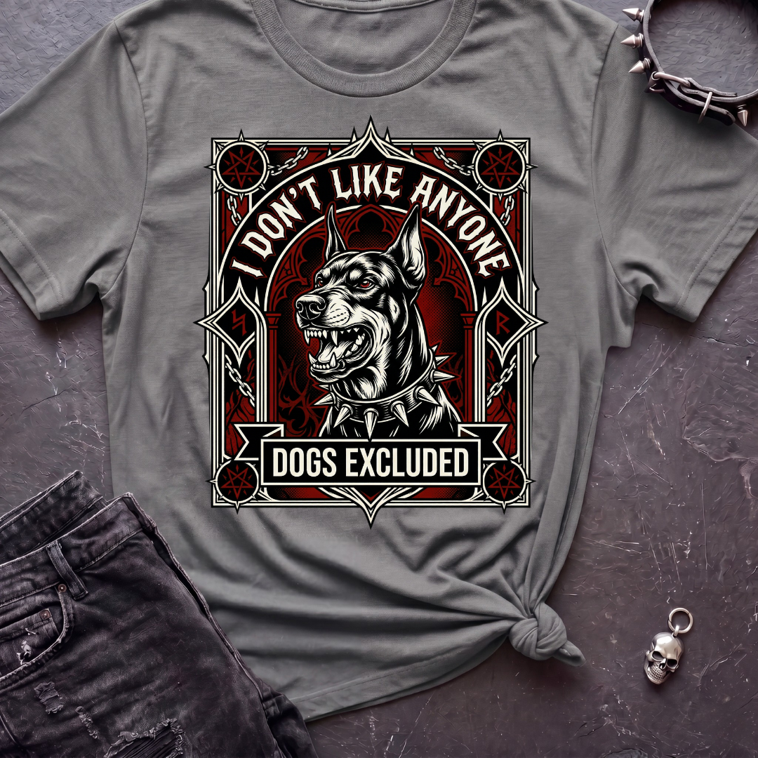 I Don't Like Anyone 2 Tshirt