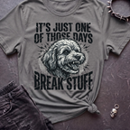Break Stuff Tshirt