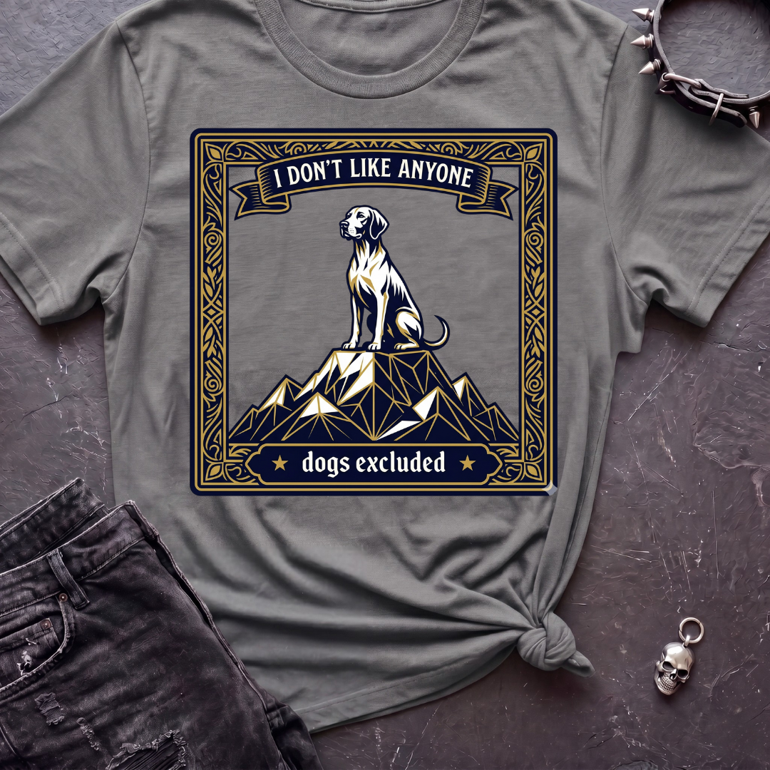 I Don't Like Anyone 4 Tshirt
