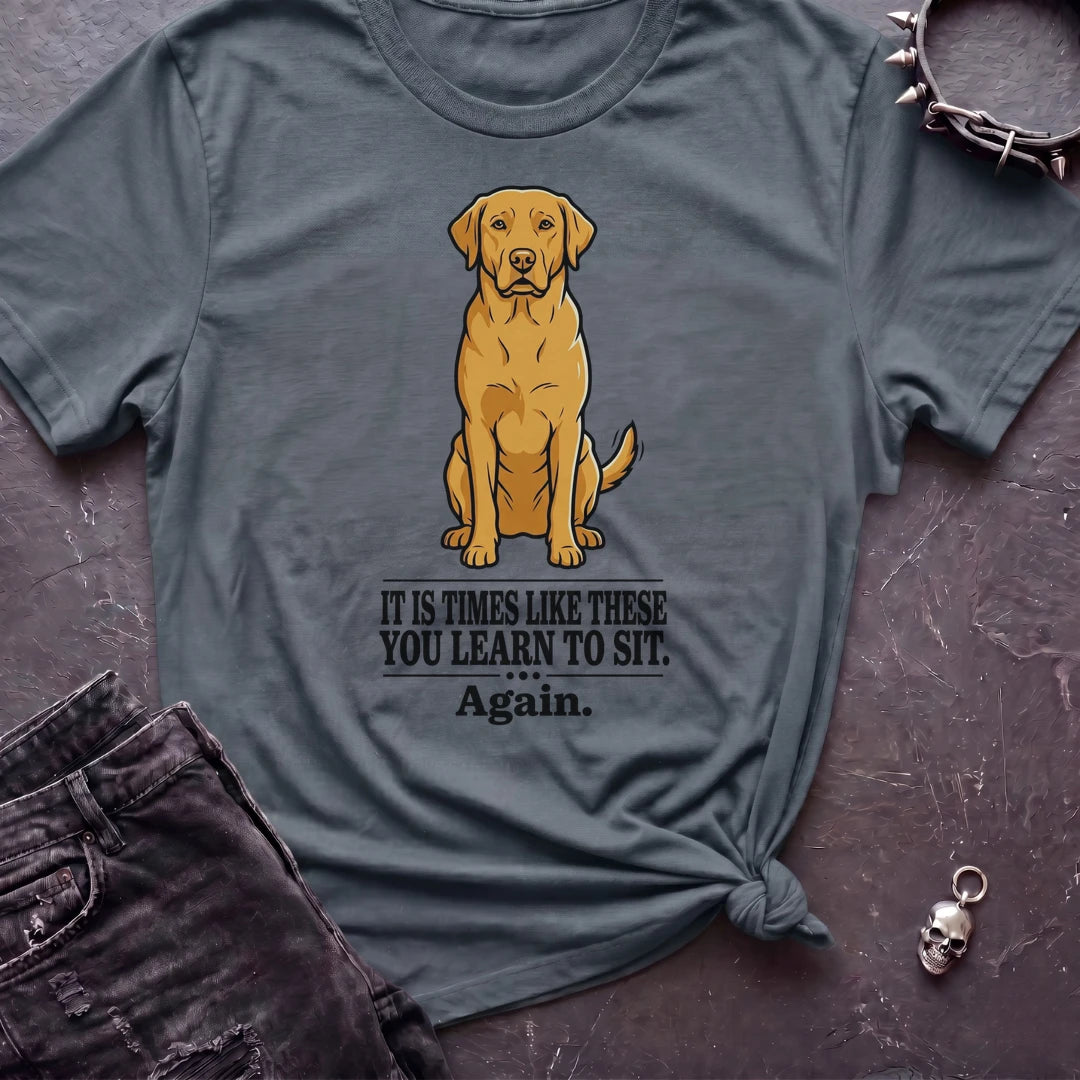 Times Like These Labrador Tshirt