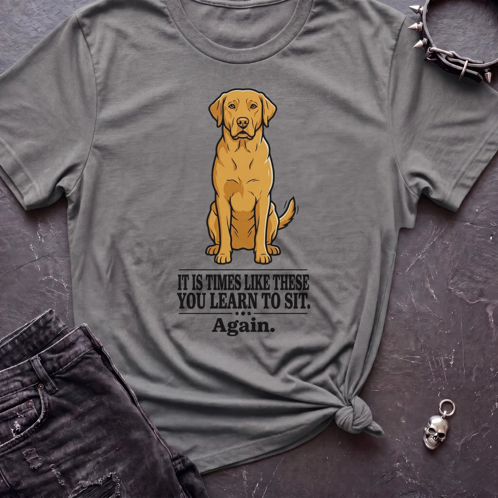 Times Like These Labrador Tshirt